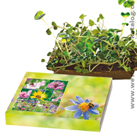 Bienenfreude - umweltfreundliches Give Away Bienenfreude - umweltfreundliches Give Away