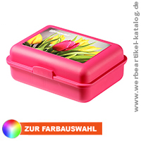 Pausenbox mit Fotodruck und Trennwand, als Werbeartikel mit Ihrem Logo 4c.