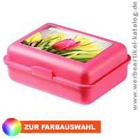 School-Box mit Fotodruck - Werbeartikel Made in Germany.