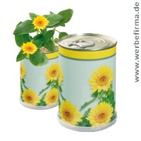 Werben mit Pflanzen / Werbeartikel Sonnenblumen / Pflanzen mit Werbung / Werbeartikel für den Sommer / Pflanzen Werbemittel Werben mit Pflanzen / Werbeartikel Sonnenblumen / Pflanzen mit Werbung / Werbeartikel für den Sommer / Pflanzen Werbemittel