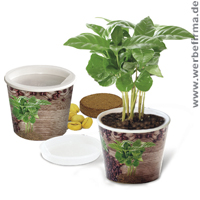 Coffee 2 grow - ein nettes Werbegeschenk mti dem Ihr Kunde alles für die Aufzucht eines echten Kaffeestrauchs erhält Coffee 2 grow - ein nettes Werbegeschenk mti dem Ihr Kunde alles für die Aufzucht eines echten Kaffeestrauchs erhält