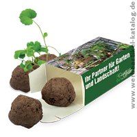 Flower Balls in der Box, Pflanzen WErbeartikel. Flower Balls in der Box, Pflanzen WErbeartikel.