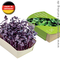 Microgreens-Gärtchen Radies Sango -  Werbeartikel! für healthy lifestyle