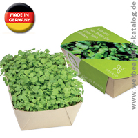 Microgreens-Gärtchen Salatrauke - Werbemittel für einen Gesunden Lebensstil.  