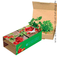 Naschgemüse-Duo, Cocktail-Tomate und Paprika , Gemüse als Werbemittel mit Ihrem Logo Naschgemüse-Duo, Cocktail-Tomate und Paprika , Gemüse als Werbemittel mit Ihrem Logo