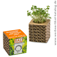 Wellkarton-Pflanzwürfel Mini, Pflanzen Werbeartikel für Ihre Kunden! 